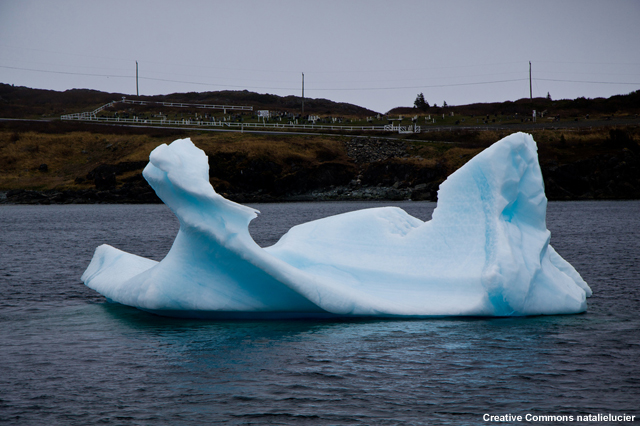 Ice floating in the sea
